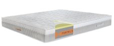 Honey EXCLUSIVE WHITE